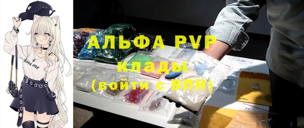 apvp Богородск